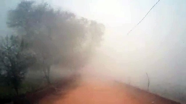 जयपुर में धूप ​खिली, जिलों में छाया कोहरा