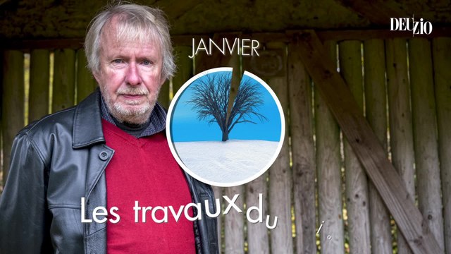 Travaux du jardin - 13 janvier 2024 : les plantes d'ombre