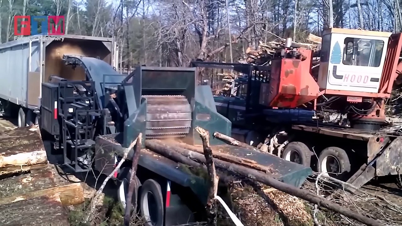 Extreme Dangerous Monster In The Woodworking Industry, Modern Wood