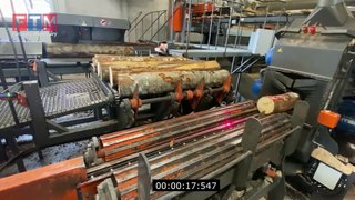 Amazing Automatic Modern Wood Processing Factory, Incredible How Remove Tree Stumps and Crush Th