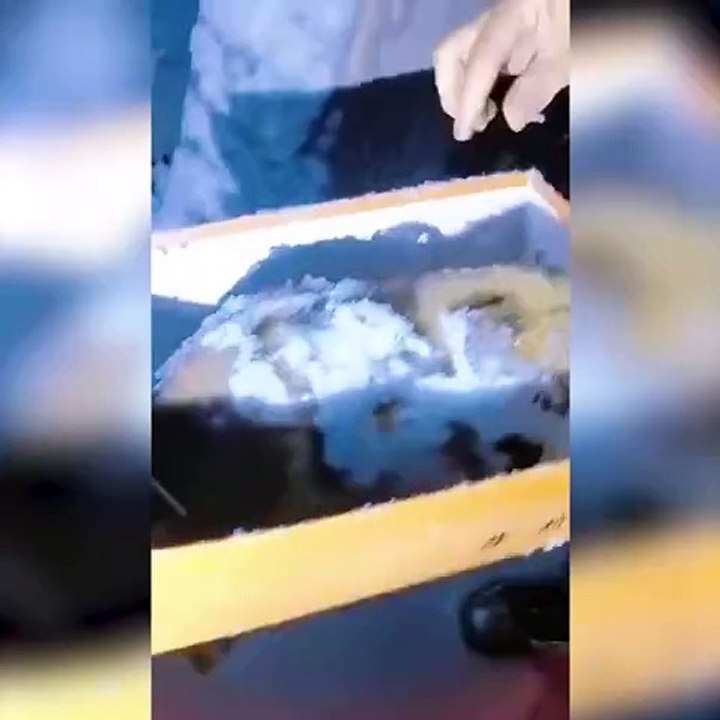 Minik köpek donmaktan son anda kurtuldu! Kurtarılma hikayesi içinizi ısıtacak….