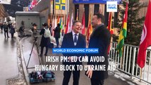 Irish PM at Davos: 'Fight for Ukraine is a fight for wider European values'