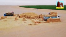 Agriculture desert, Algeria, Adrarالزراعة بصحراء الجزائر ولاية أدرار