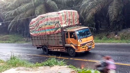 supir Fuso panik kernet santai Momen Panik