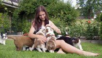 A Young Beautiful Caucasian Woman Plays with Cute Little Puppies and Laughs in a Garden, People Stock Footage ft. owner & litter - Envato Elements