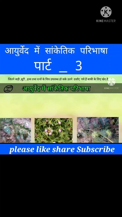 आयुर्वेद मे सांकेतिक परिभाषा part _3