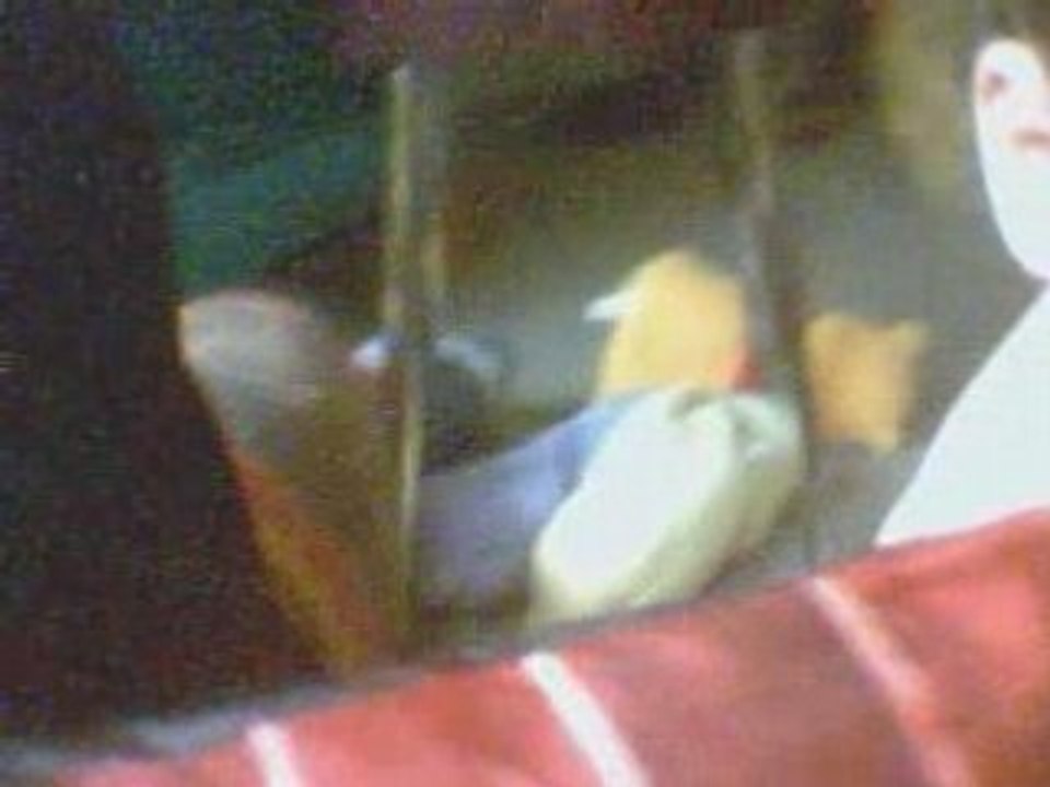 Vidéo 13