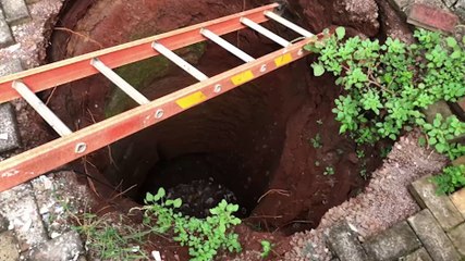 Bombeiros resgatam Gato Persa que caiu em buraco de 7 metros de profundidade