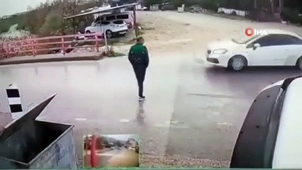 Yolun karşısına geçmek için hamle yapan adama hiçbir sebep yokken yapıştıran koç 