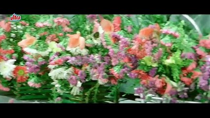 Baagon Ki Tu Rani Hai / Jaani Dost (1983) /Kishore Kumar, Asha Bhosle