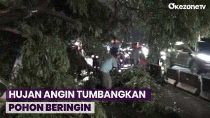 Hujan dan Angin Kencang akibatkan Pohon Beringin Tumbang di Jakarta Barat