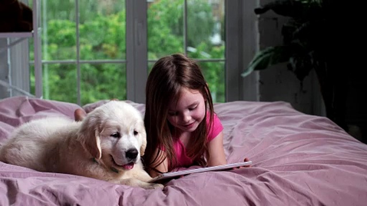 girl and her puppy watching videos