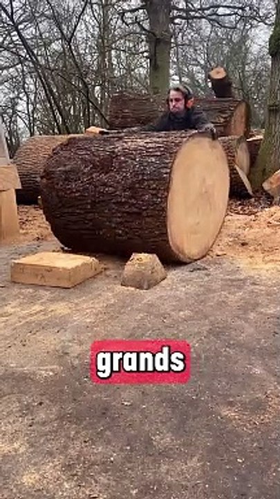 Il fait des sculptures de chiens décédés pour leurs propriétaires.