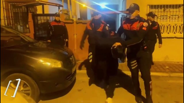 Kedilere eziyet edip örgüt propagandası yapan 5 kişi yakalandı