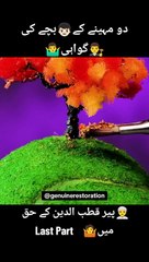 Mola Hussain ki shahadat