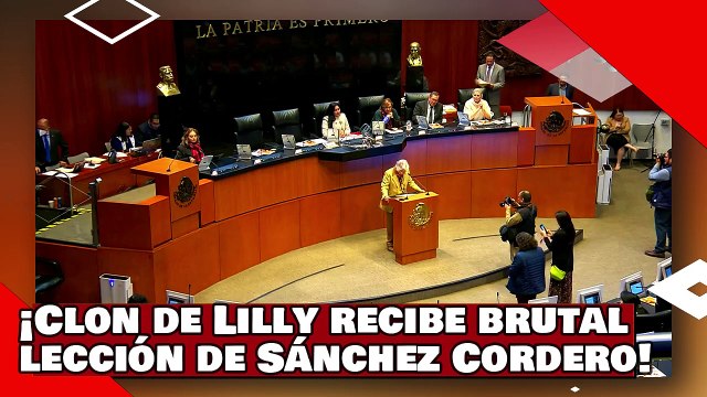 ¡VEAN! ¡Clon de Lilly Téllez recibe brutal lección de como presentar iniciativas de Sánchez Cordero!
