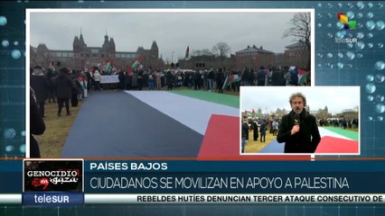 Ciudadanos de Países Bajos se movilizan en respaldo al cese del fuego en Gaza