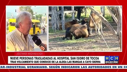 Ganaderos de la zona norte solicitan incremento de 6 lempiras al litro de leche