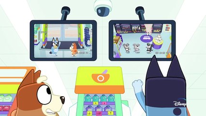 Watch New Bluey Season 3 Episodes Now on Disney+ 🎉