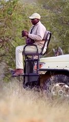 Men shocked lion rocked