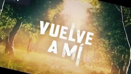 V.U.E.L.V.E. A. M.I. - CAP 65
