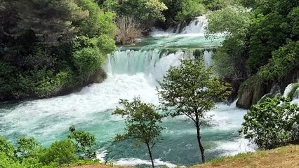 dreamlike waterfalls in the forest