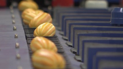 엄동설한에 맛보는 한여름 꿀맛..참외 첫 출하 / YTN