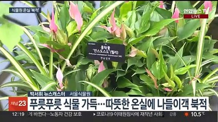 눈비 내리는 주말…추위 피한 식물원 나들이 인기