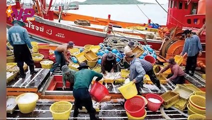 ၂၄ နာရီအတွင်း ပြည်တွင်းနှင့် ပြည်ပက သတင်းများ စုစည်းတင်ဆက်မှု