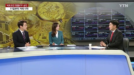 미국, 비트코인 현물 ETF 승인...국내는 "불가" / YTN