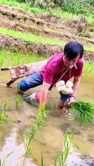 Funny video link bio