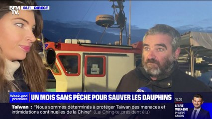 "On n'est pas responsables de ça": Johnny Wahl, pêcheur, réagit à l'interdiction de pêche dans le golfe de Gascogne pour protéger les dauphins