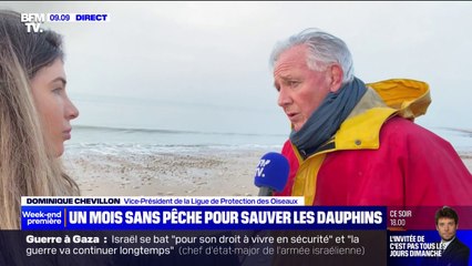 Pêche interdite dans le golfe de Gascogne: "Depuis 2016, on a une intensification considérable des captures" de dauphins, affirme Dominique Chevillon (LPO)