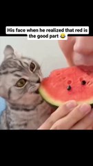 Wait for his face reaction