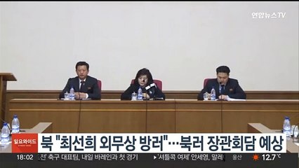 북 "최선희 외무상, 15~17일 러시아 방문"…북러 장관회담 예상