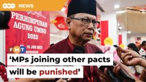 Umno will punish MPs who join other political pacts, says Puad