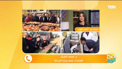 متحدث الزراعة يوضح طريقة استبدال الماشية بالسلالة المحسنة ضمن مشروع إحلال رؤوس الماشية