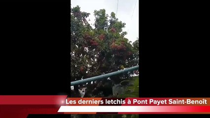 Découvrez vos photos et vidéos des conditions météo avant Belal