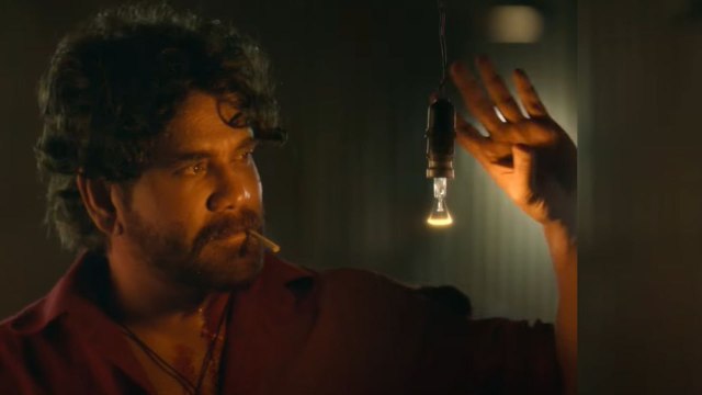 Naa Saami Ranga Boxoffice Collections ఎన్ని కోట్ల కలెక్షన్లంటే | FilmiBeat Telugu