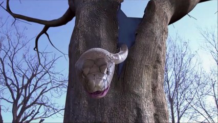 Hoắc Nguyên Giáp Xông Pha Giang Hồ | 2014 | Tập 8 | GIALAC8631