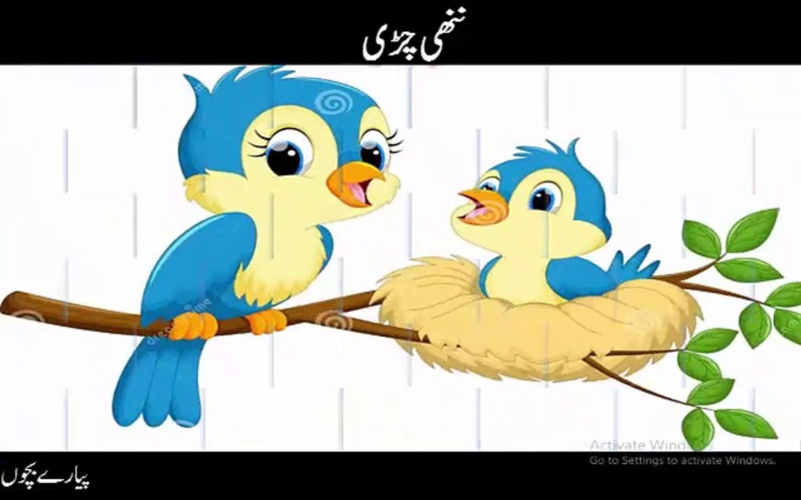 ننھی چڑی