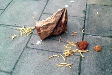 Someone’s KFC Bag Has Left it on the Road