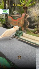 VH Green Nature Park