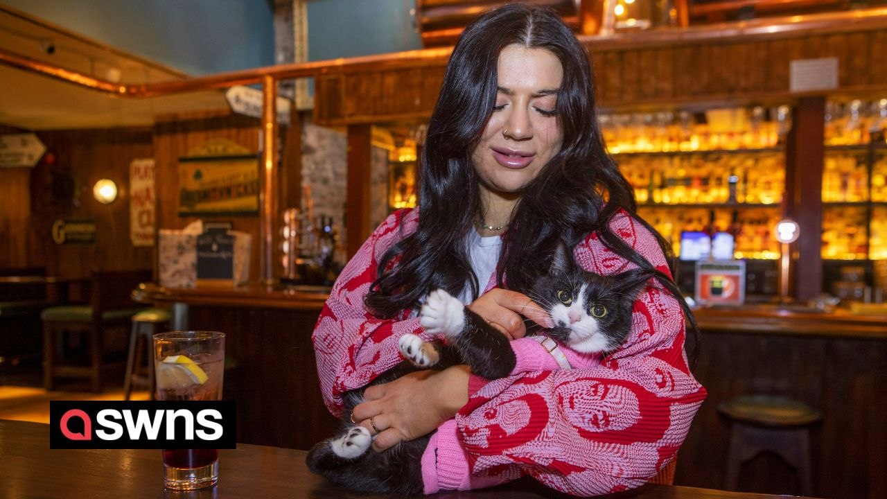 Meet the woman who takes her woolly-jumper-wearing cat everywhere including on trips to the pub