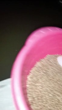 Pemberian pakan malam hari, porsi banyak, lebih responsif, lele cepat besar