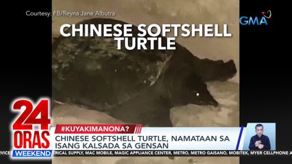 24 Oras Weekend Part 2: Chinese Softshell Turtle, Protest Caravan, Nagte-text tungkol sa People's Initiative, atbp.