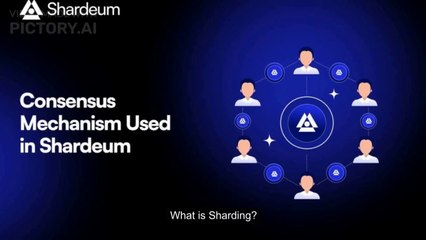 Shardeum's Dynamic State Sharding