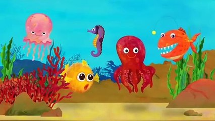 Finger Family (Sea Animals Version) _ CoComelon Nursery Rhymes _ Kids Songs