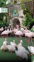 Macam-macam ada kat Melaka