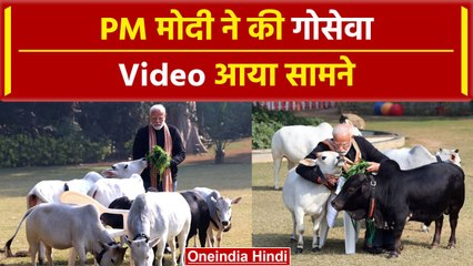 Makar Sankranti पर PM Narendra Modi बनें गोसेवक | वनइंडिया हिंदी #Shorts
